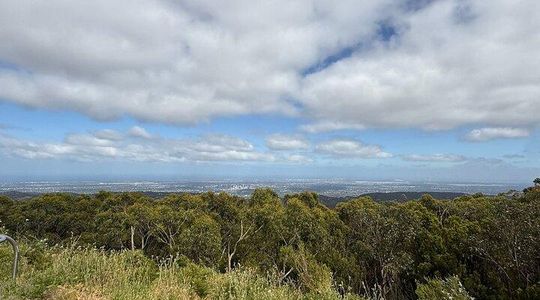 Hills to Wildlife Nature Tour