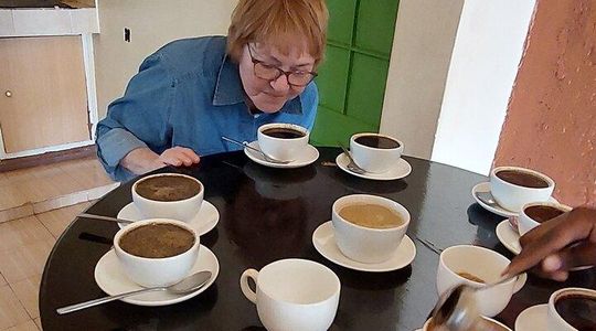 Kiambethu Tea Farm Tour (Thursdays to Sunday)