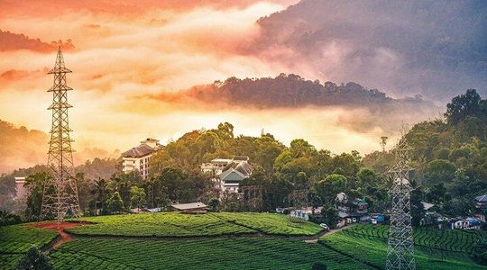 12 Hours Private Munnar Tour from Kochi