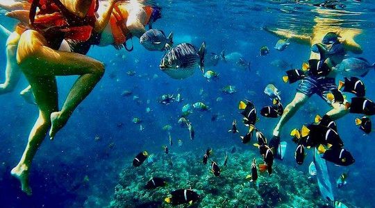 Paddleboard and Snorkeling Experience in Los Arcos
