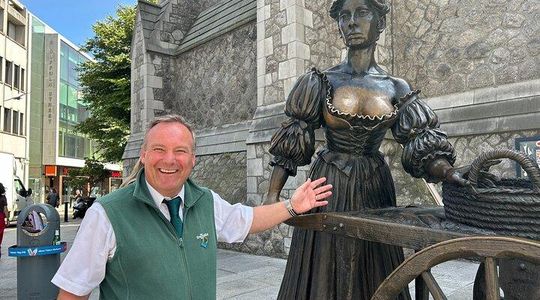 Dublin South Walking Tour: Stories & Splendour: with Local Expert