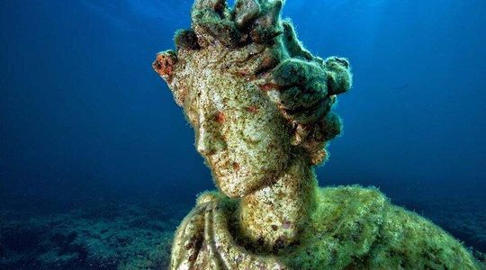 Diving at the Baia Submerged Park for certified divers