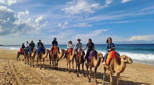 From Tangier: Cap Spartel and Hercules Cave with Camel Ride