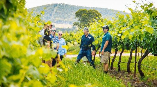 Hunter Valley Wine Tasting Tour from Sydney