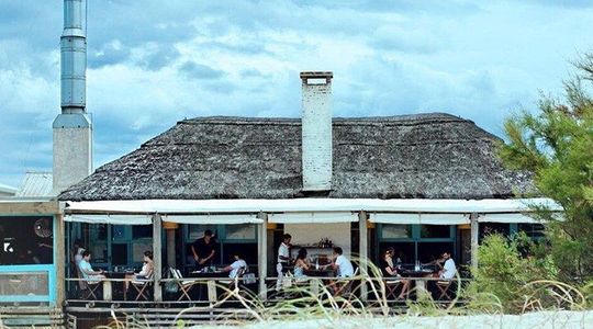 Visit Garzon Winery and Jose Ignacio. Private Driver.