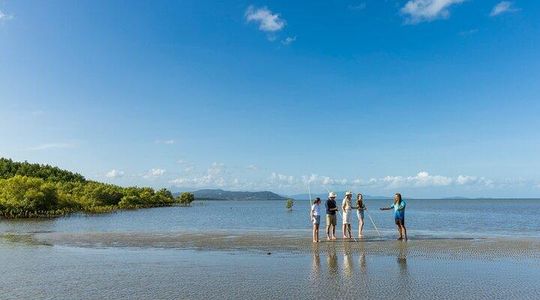 Small Group Daintree Rainforest and Aboriginal Coastal Adventure