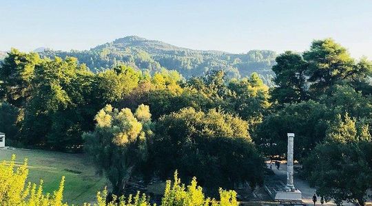 Olympia & Museum - accessible excursion, half day