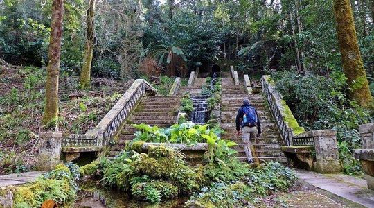 An adventure through the Forest and Palace of Bussaco - Coimbra