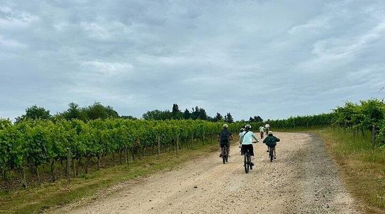 Chianti Classico Ebike Experience Tour and Wine Tasting