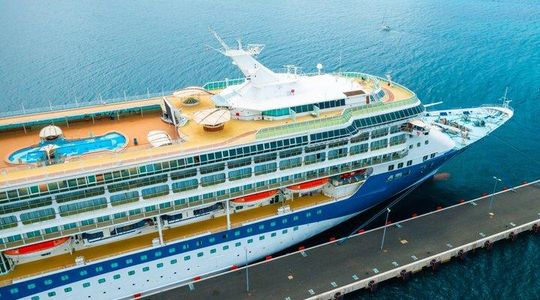 Half Day Desert Safari from Cruise Airport or Hotel