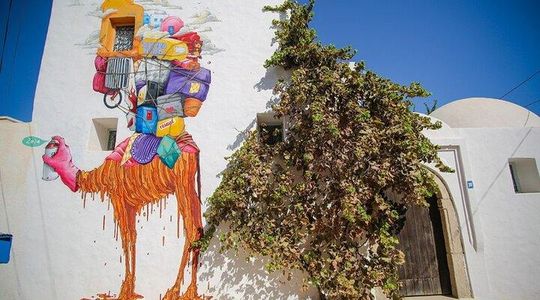 Djerba the Authentic, Guided tour of the hidden treasures of the island