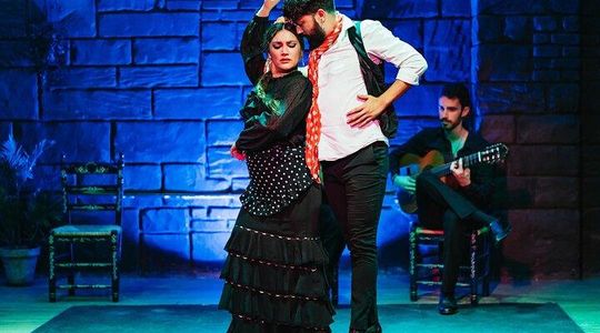 The mysteries of Flamenco & Sangria Tasting