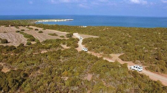 Akamas Peninsula Full Day 4x4 Winter Tour