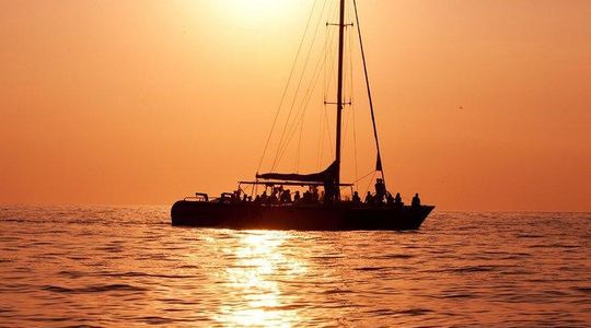 Antigua Sunset Catamaran Cruise From St. John's