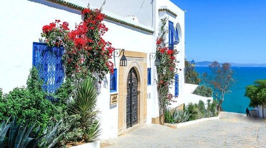 Carthage Ancient Sites and Sidi Bou Said Guided Tour with Lunch