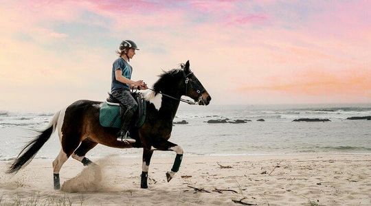 Viana do Castelo Horseback Riding Tour