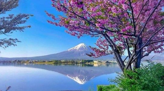 Mt Fuji & Hakone Customizable Private Tour with English Driver