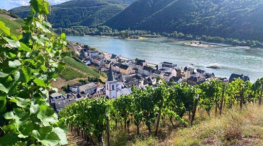 Rhine Valley Wine Tasting Tour from Frankfurt and Mainz