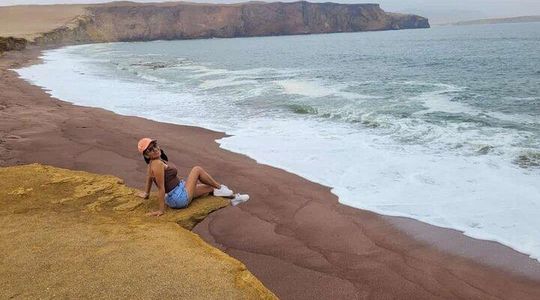 From Ica to Huacachina: Ballestas Islands and National Reserve