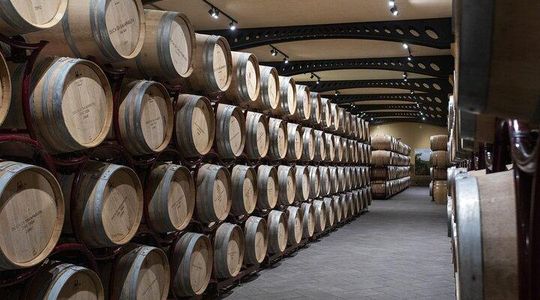 Guided tour and tasting at Duca di Salaparuta Winery