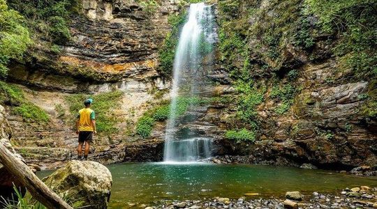 From Sydney: Private Tour — Illawarra Escarpment & Rainforest