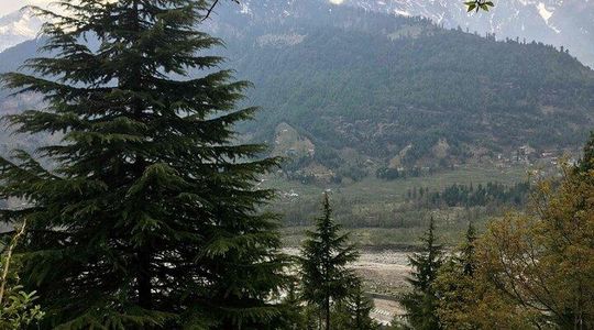 Jogini Waterfall Trek from Manali