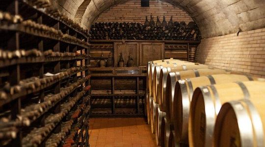 In the Heart of Chianti Classico : Wine, Winery and Tradition