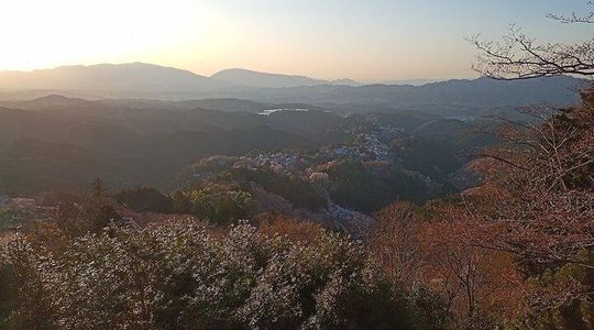 Private Guided Half-Day Walking Tour in Yoshinoyama