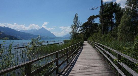 Interlaken: Scenic Walk Through Nature, Culture & Heritage