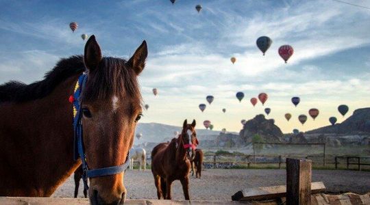 Cappadocia Horseback Riding Sunset Valley Tour
