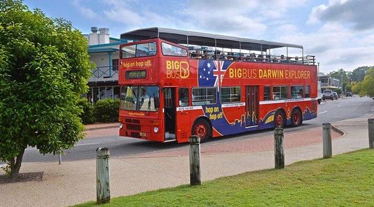 Darwin Shore Excursion: Hop-on Hop-off Bus Tour
