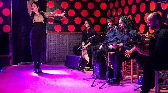 Barcelona Gothic Quarter Tour and Flamenco Show