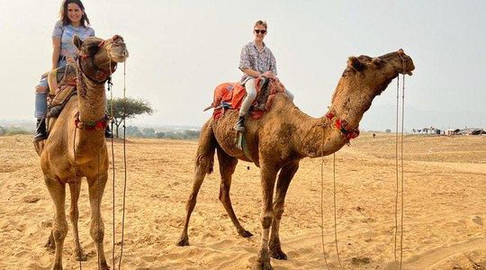 Pushkar Day Trip from Jaipur – Private Car, Safari, Guide & Lunch