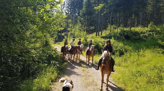 Trail riding in the Gesaeuse National Park