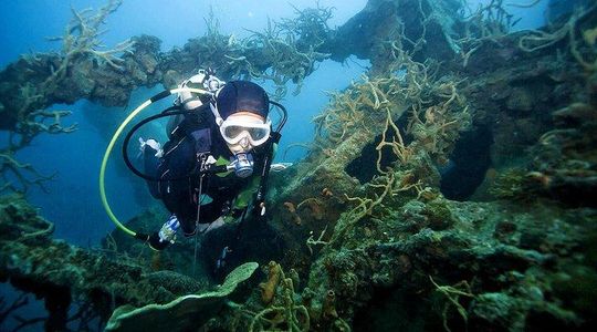 Coron Reefs & Wreck Tour (Shared Tour)