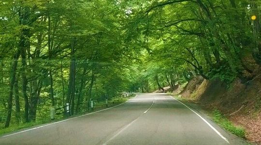 3 Days/2 Nights Kakheti Region Tour Package in Georgia