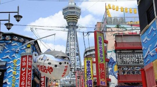 Osaka Private Tour by Public Transportation
