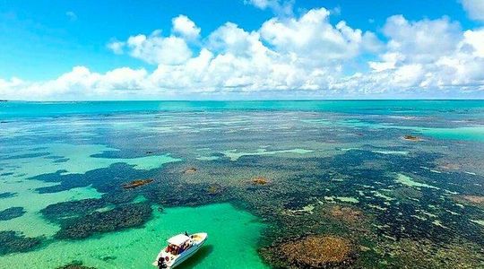 Full-Day Visit to Paripueira Beach and Tide Pools in Maceió
