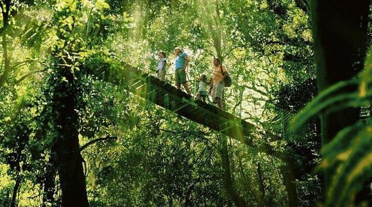 Lamington National Park, O'Reilly's & Vineyard Tour