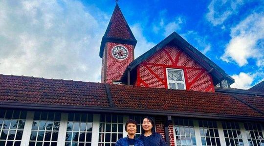 Private Day Tour Kandy to Nuwara Eliya with Tea Factory Visit