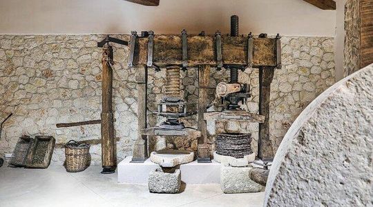 Paleokastritsa Lakones and Olive Oil Museum Tour