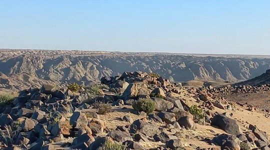 Welwitschia Exclusive Tour in the Moonlandscape, Swakopmund