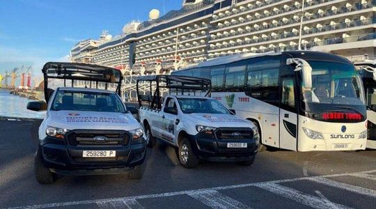 Moorea Cruise Ships: 4x4, Belvedere, Mountain pineaple