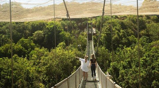 Tricao Park full day - The largest aviary in LATAM