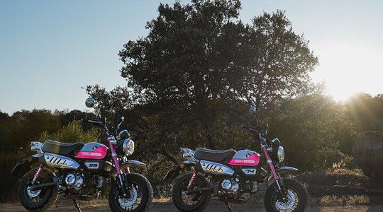 5 days Motorcycle Fun Tour in the North of Portugal