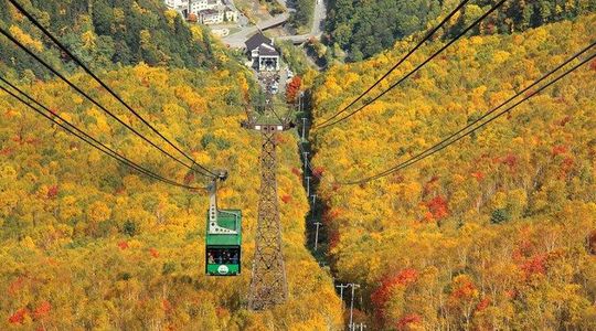 SkyExpress: Autumn Sounkyo Customised Private Day Tour (Up to 15 Passengers)