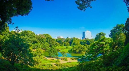 Tokyo: Edo-Period Rikugien Garden Walk with Matcha