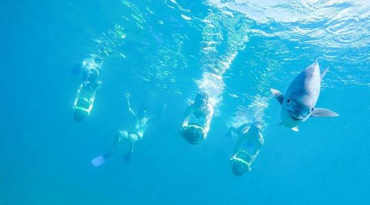 Los Cabos Power Snorkel Adventure, Kayaking and Stand-Up Paddle
