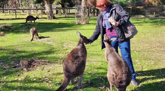 Adelaide Hills Cleland and Hahndorf Small Group Shore Tour
