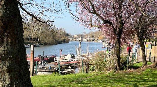 Nordic Walking Tour of Richmond